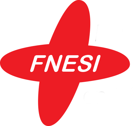 Logo_FNESI transparent.png